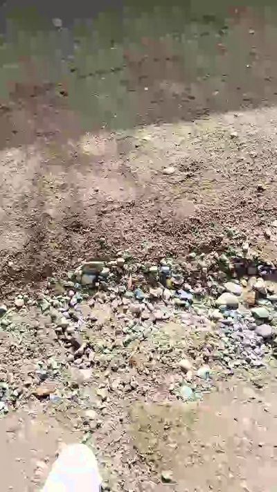 CAM4 male cam Memi979