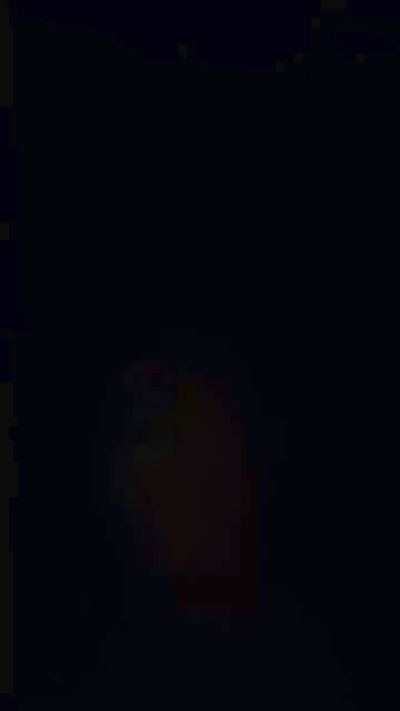 CAM4 male cam bigzhung