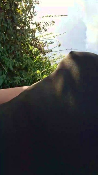 CAM4 female cam Sexycurvy877