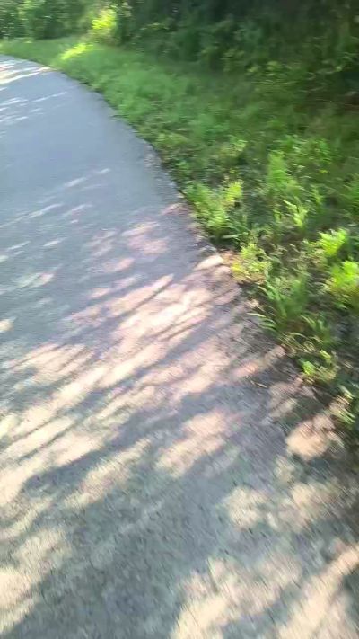 CAM4 male cam Endi7777