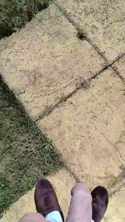 CAM4 male cam avalarf