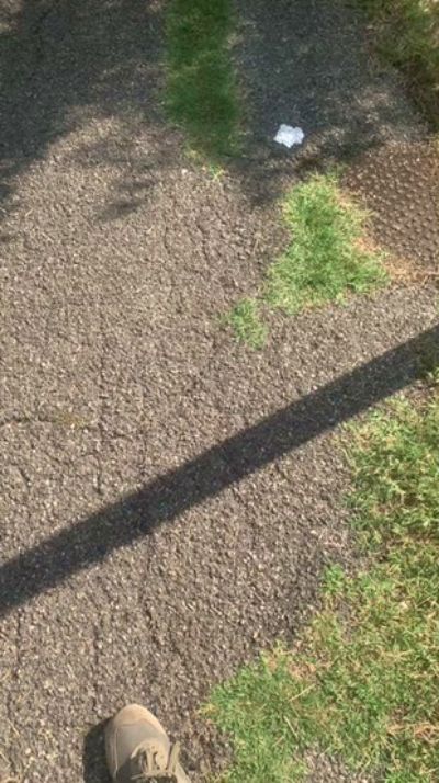 CAM4 male cam axelldani