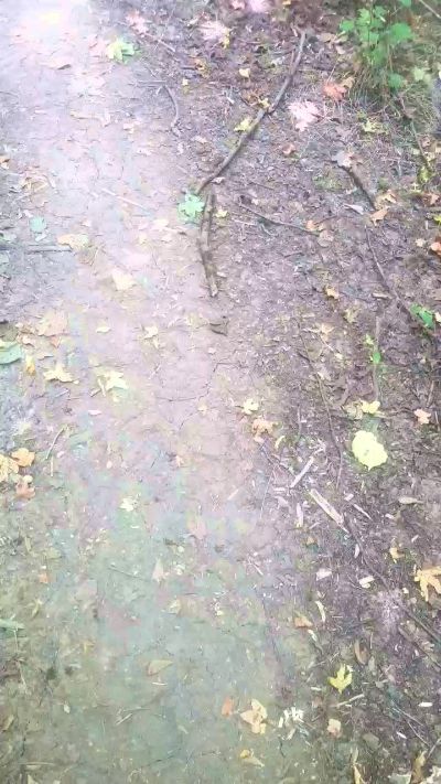 CAM4 male cam SaarlandBoy07