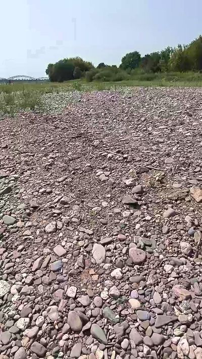 CAM4 male cam jayde_sexy