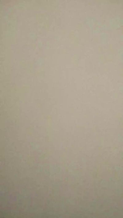 CAM4 male cam Brunobirigui