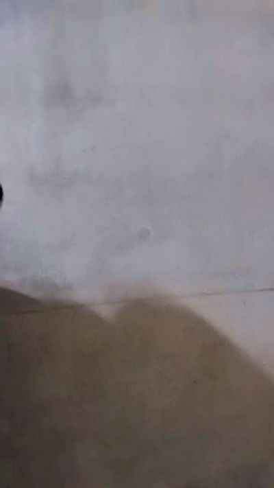 CAM4 female cam LikeNinja