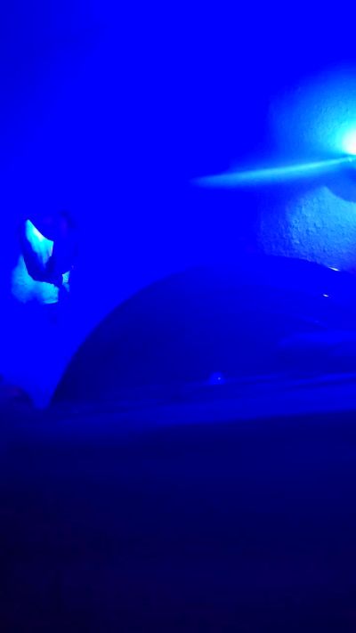 CAM4 male cam Francopolo23xxl