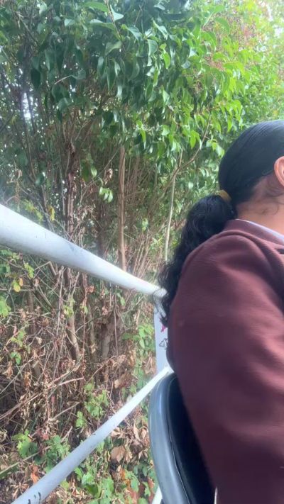 CAM4 female cam Luz2030