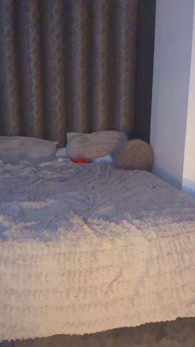 Thumbnail of Apollojoey - CAM4 live cam