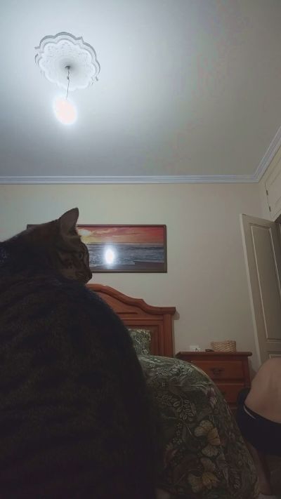 Thumbnail of SweetSamuu - CAM4 live cam
