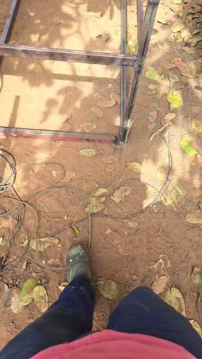 CAM4 male cam Ribeirosiebes