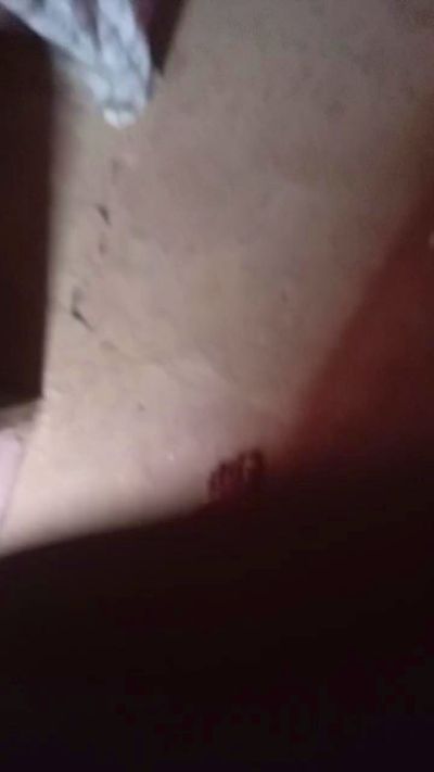 CAM4 male cam picaitz1