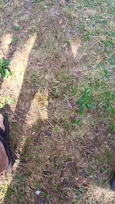 CAM4 male cam noviziocurio