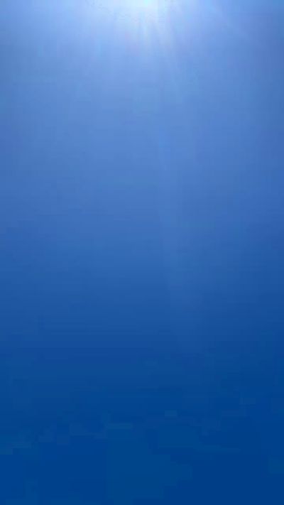 CAM4 male cam Mad2nap