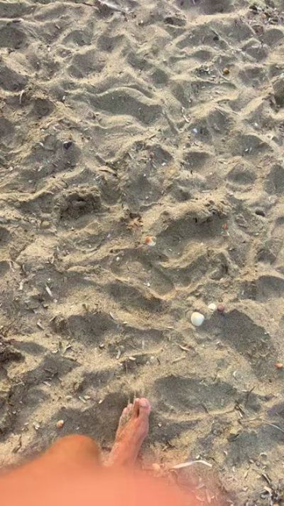 CAM4 male cam Eleusiarca