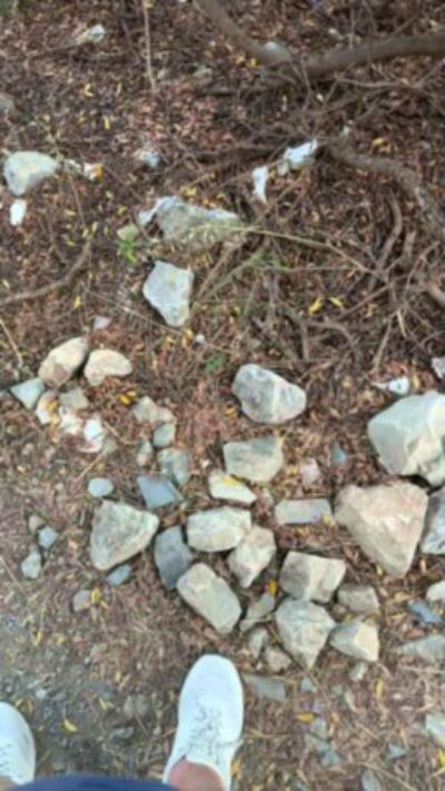 CAM4 male cam brizio83_SV