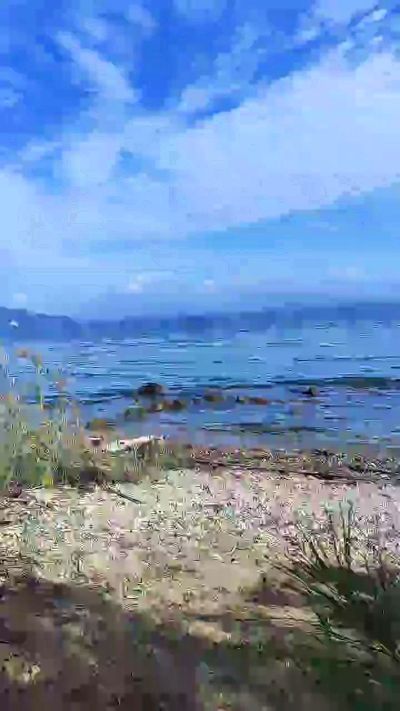 Thumbnail of Sofi556 - CAM4 live cam