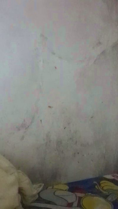 CAM4 shemale cam Soytuputita21