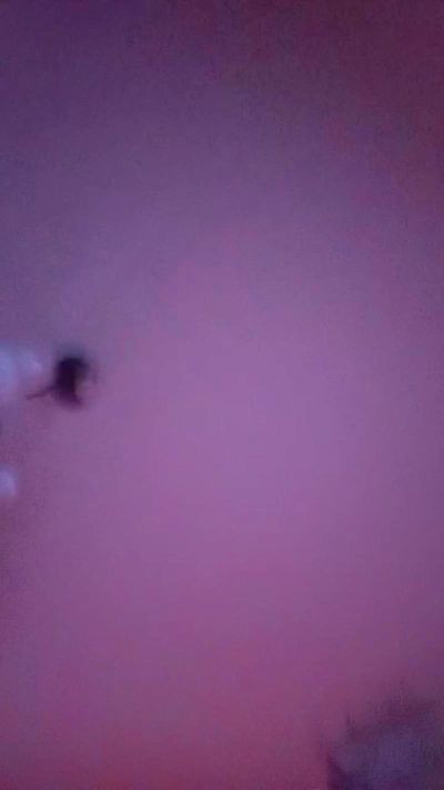Thumbnail of Renzo19877 - CAM4 live cam