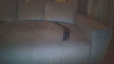 Thumbnail of LibertyDark - CAM4 live cam