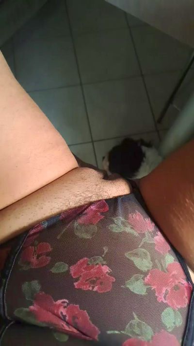 CAM4 female cam Michelle77_2024