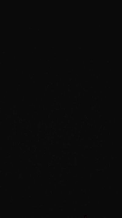 CAM4 female cam Bunny_She