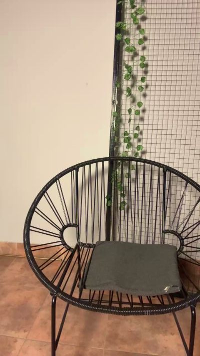 CAM4 female cam Annie069