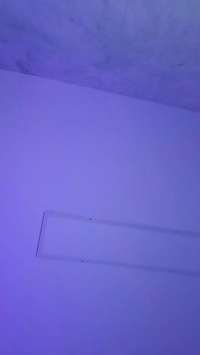 CAM4 female cam moon_ray