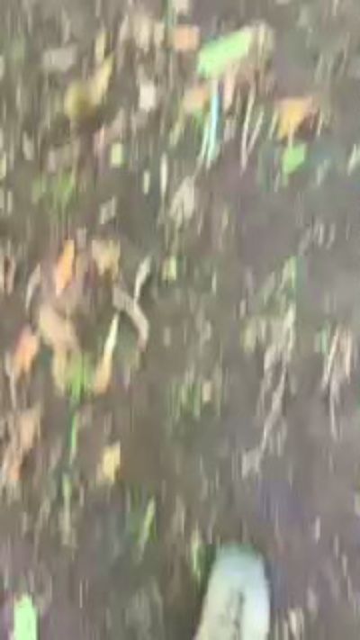 CAM4 male cam bigloaditaly