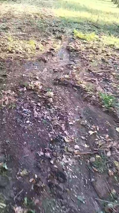 CAM4 male cam Sexty0000