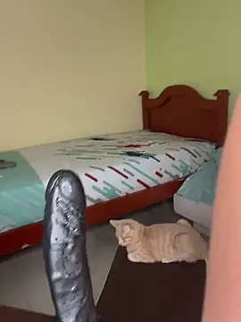 Stripchat cam girl MY_BOO_21