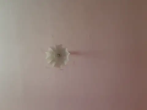 Stripchat cam girl trixye21