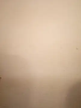 Stripchat cam girl Dala333