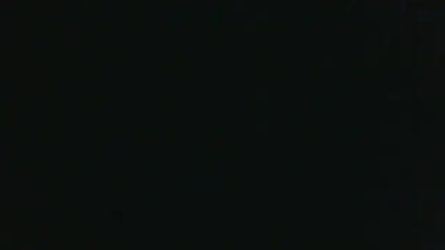 Stripchat cam girl Heidi-Helga