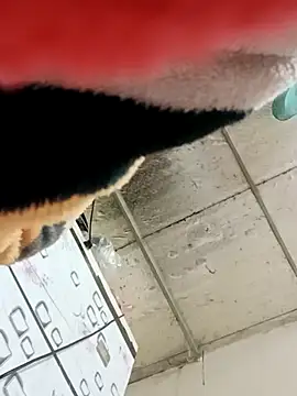 Stripchat cam girl Sana-vn