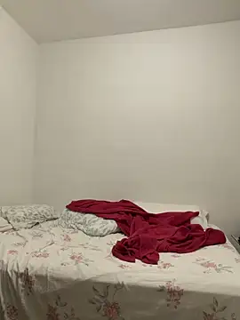Stripchat cam girl Ana_lys