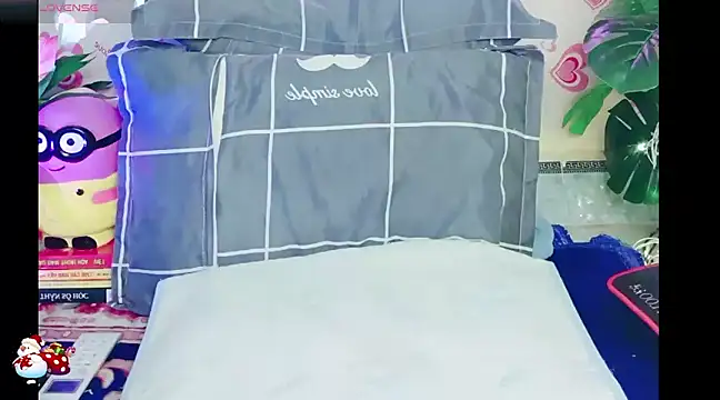 Stripchat cam girl Linh_meo69