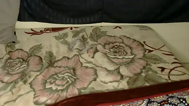 Stripchat cam girl Novata