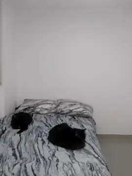 Stripchat cam girl _Bellangel_