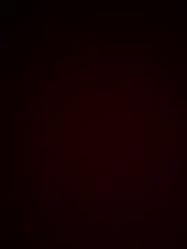 Stripchat cam girl LeeLee_x