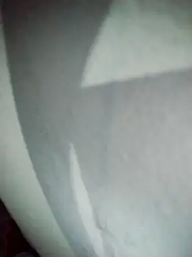 Stripchat cam girl Alma_Kieran