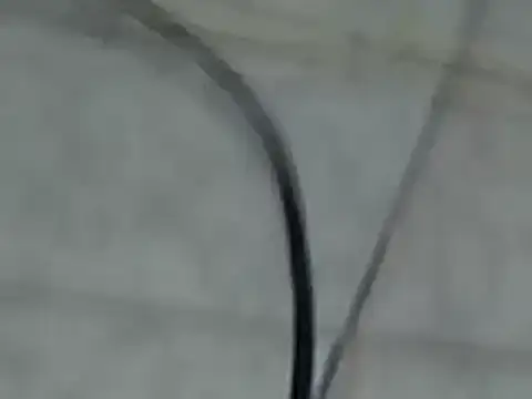 Stripchat cam girl ebonypridexxx