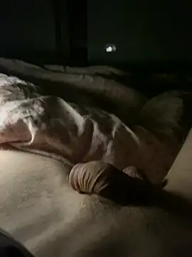 Stripchat cam girl Worner