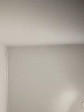 Stripchat cam girl sabrinaneves