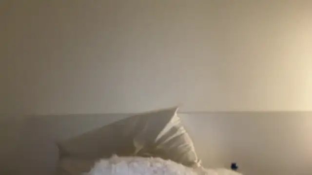 Stripchat cam girl XIvyRoseX