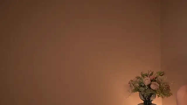 Stripchat cam girl Hi_my_name_is