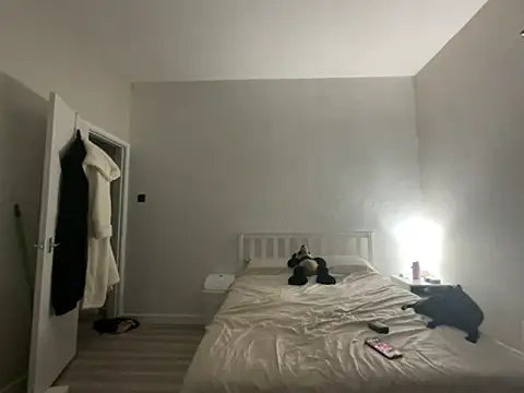 Stripchat cam girl TattooedShezar