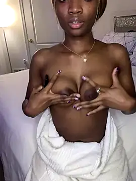 Stripchat cam girl WetDream_