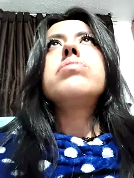 Stripchat cam girl ashly_evers