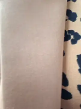 Stripchat cam girl EvaXlove69